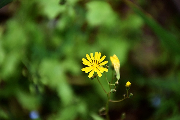 重庆荣昌区副区长批示肯定区邮政工作和行业发展成效