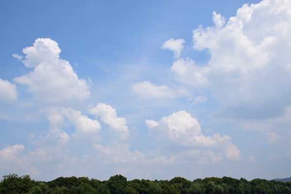 四川局举办全省邮政普遍服务保障监督暨市场监管工作培训