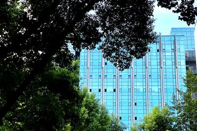 2026年1月国内棉花供需形势分析月报